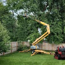 Best Tree Preservation Services  in East Northport, NY